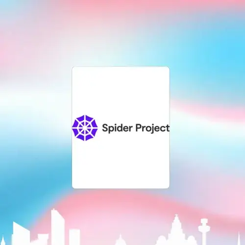 Featured image of post Spider Project